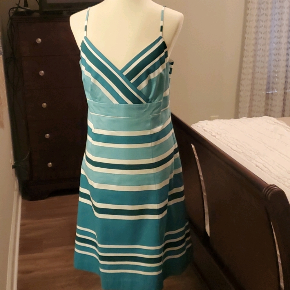 NWT Ann Taylor Dress